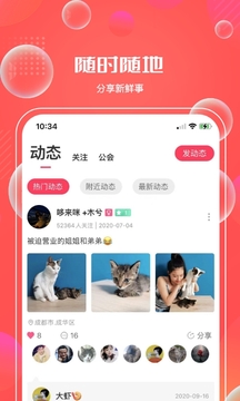 鱼络圈